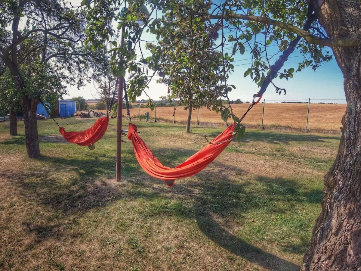 Prázdninový dům Prima By Interhome